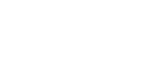 Vizualinx — The link to your vision